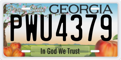 GA license plate PWU4379