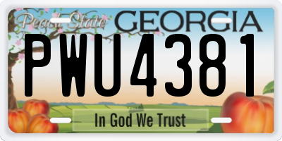 GA license plate PWU4381