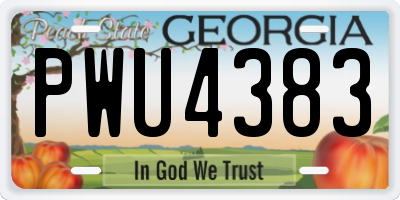 GA license plate PWU4383