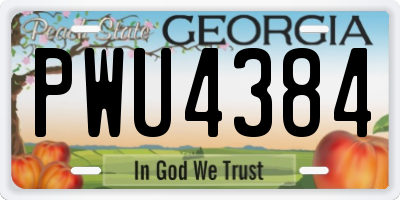 GA license plate PWU4384