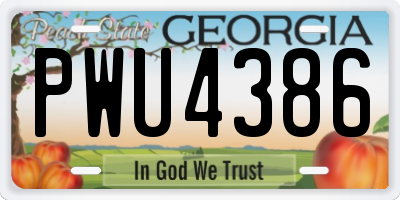 GA license plate PWU4386