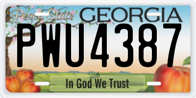 GA license plate PWU4387