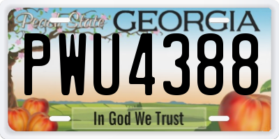 GA license plate PWU4388