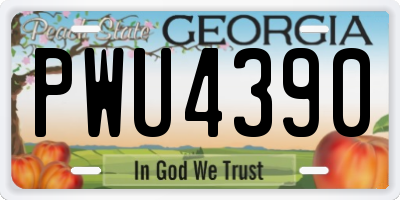 GA license plate PWU4390