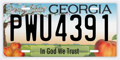 GA license plate PWU4391