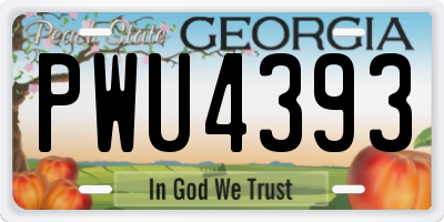 GA license plate PWU4393