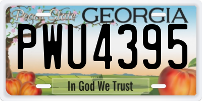 GA license plate PWU4395