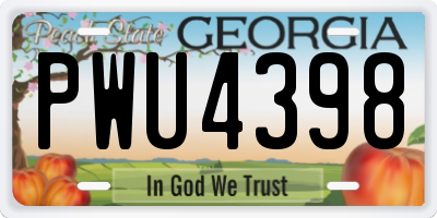 GA license plate PWU4398