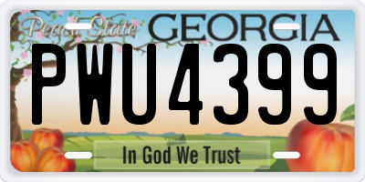 GA license plate PWU4399