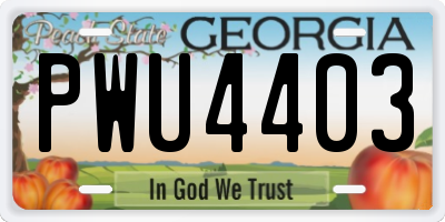 GA license plate PWU4403