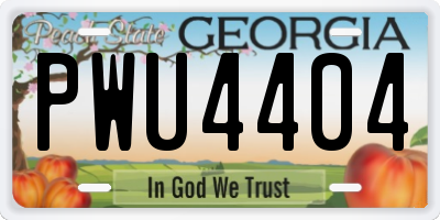 GA license plate PWU4404