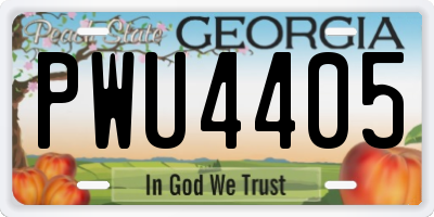 GA license plate PWU4405