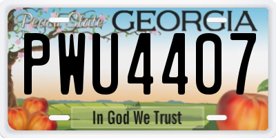 GA license plate PWU4407