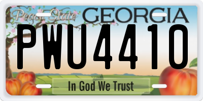 GA license plate PWU4410