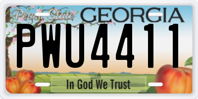 GA license plate PWU4411