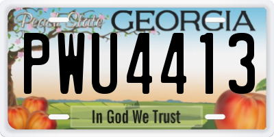 GA license plate PWU4413