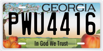GA license plate PWU4416
