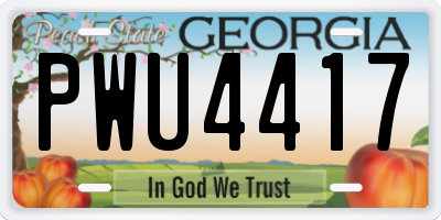 GA license plate PWU4417