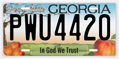GA license plate PWU4420