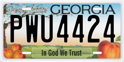 GA license plate PWU4424