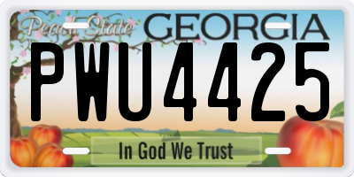 GA license plate PWU4425