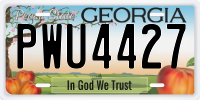 GA license plate PWU4427