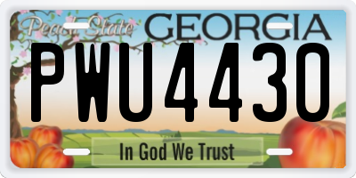 GA license plate PWU4430