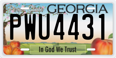 GA license plate PWU4431