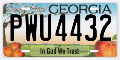 GA license plate PWU4432