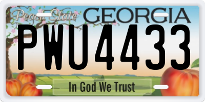 GA license plate PWU4433