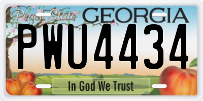 GA license plate PWU4434