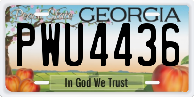 GA license plate PWU4436