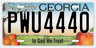GA license plate PWU4440
