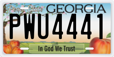 GA license plate PWU4441