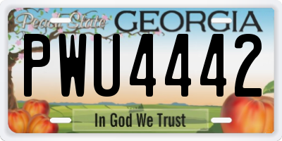 GA license plate PWU4442