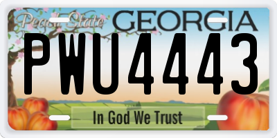 GA license plate PWU4443
