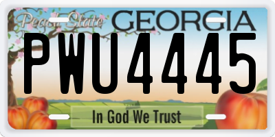 GA license plate PWU4445
