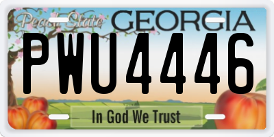 GA license plate PWU4446