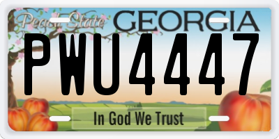 GA license plate PWU4447