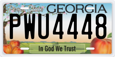 GA license plate PWU4448