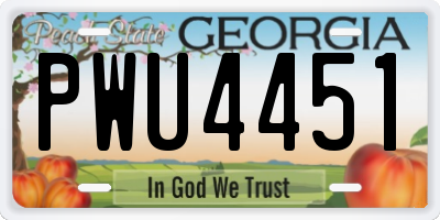 GA license plate PWU4451
