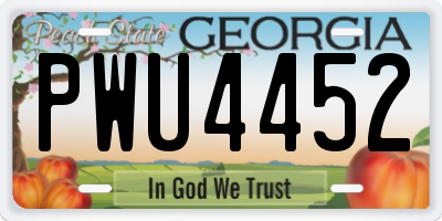 GA license plate PWU4452