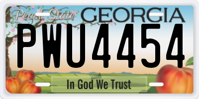GA license plate PWU4454