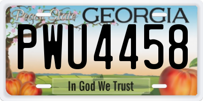 GA license plate PWU4458