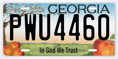 GA license plate PWU4460