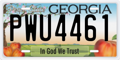 GA license plate PWU4461