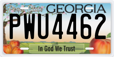 GA license plate PWU4462