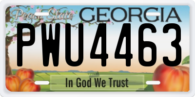 GA license plate PWU4463