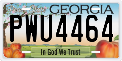 GA license plate PWU4464