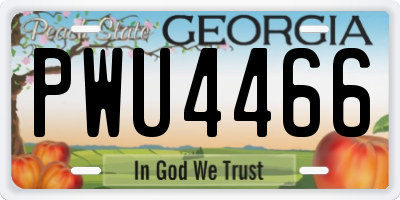 GA license plate PWU4466